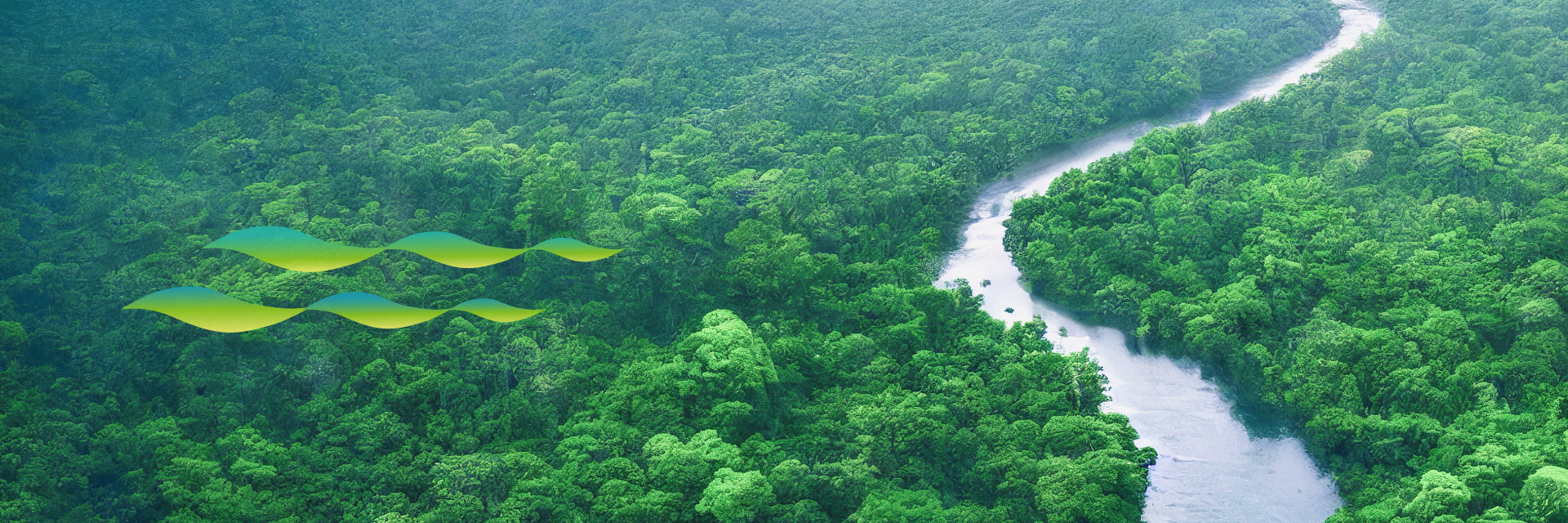 Towards a Greener Footprint