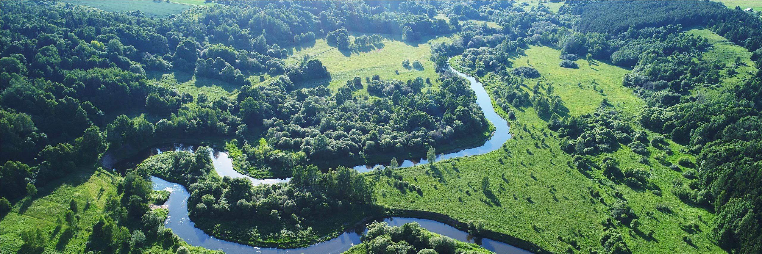 Towards a Greener Footprint