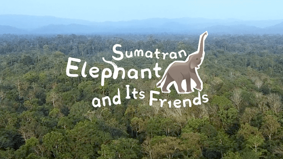 Sumatran Elephant and Its Friends