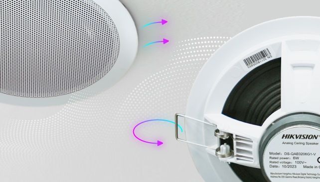 Hikvision audio out 2025 speaker