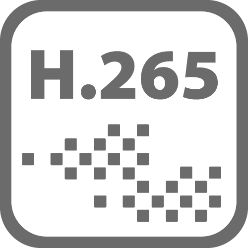 H.265.png