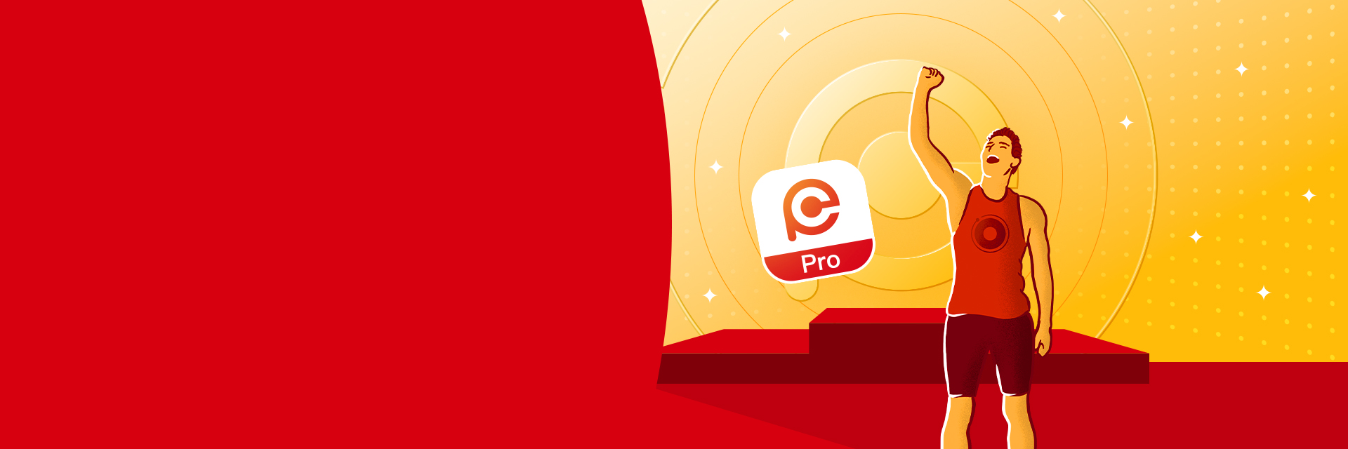 Hik-Partner Pro