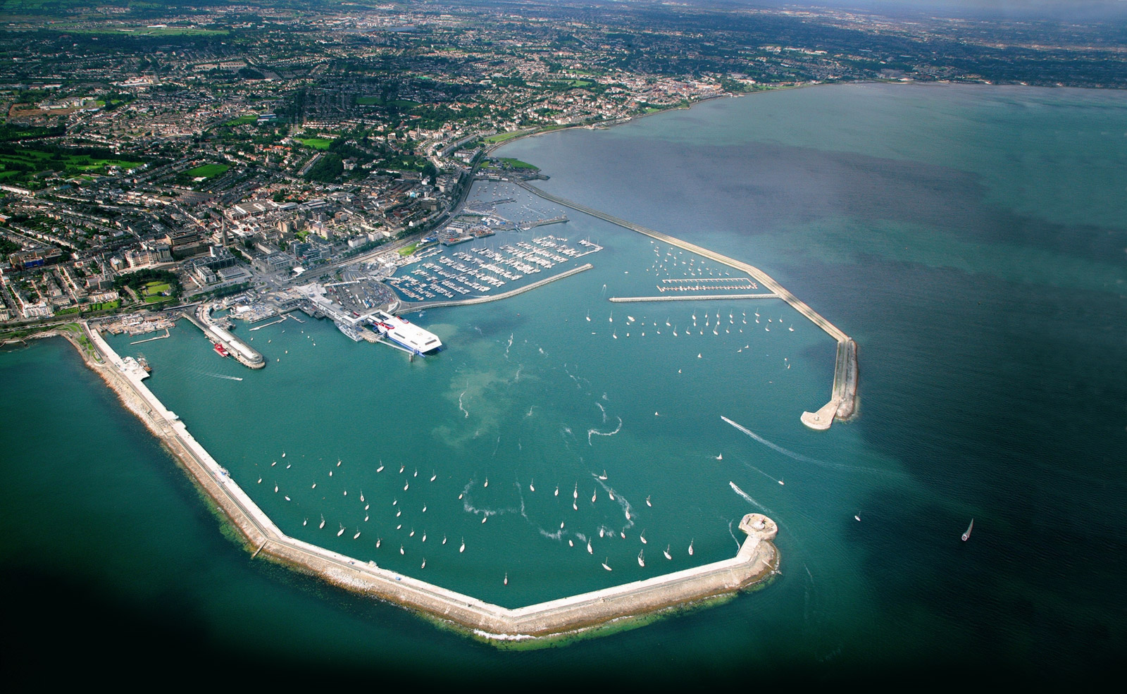 DL Harbour.jpg