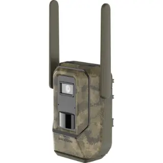4gseries 2025