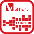 smart codec