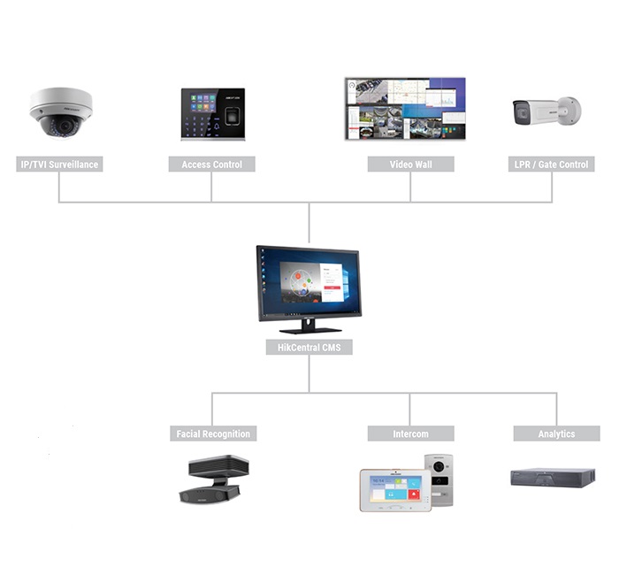 mediaIamge