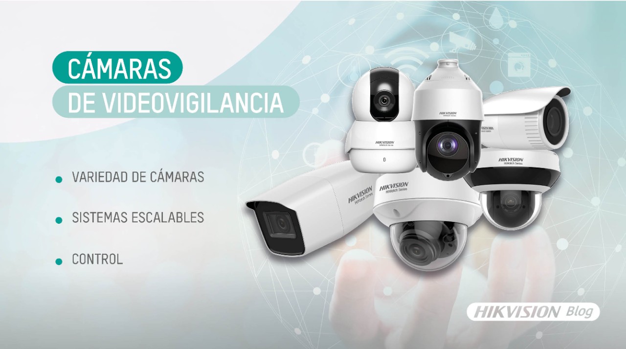 Camara de 2025 video en linea