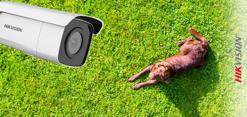 Hikvision motion sensor cheap