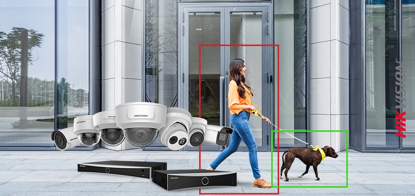 Motion detection online hikvision camera